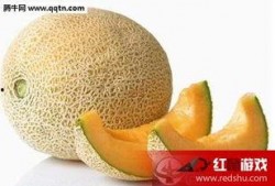 吃猪肝可以吃哈密瓜吗,营养互补的神奇组合