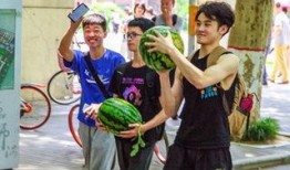 斗殴吃瓜学生,斗殴事件背后的瓜田众生相