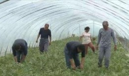 宿迁大学吃瓜,揭秘校园生活趣味瞬间