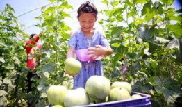 德胜园吃瓜,探寻老北京传统美食的魅力