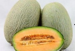 哺乳期吃哈密瓜回奶吗,哈密瓜或致回奶，了解原因与应对策略