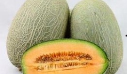 哺乳期吃哈密瓜回奶吗,哈密瓜或致回奶，了解原因与应对策略