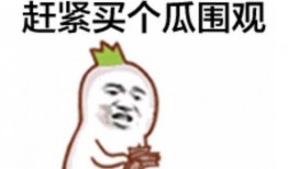 打卡吃瓜群众视频大全,揭秘热门视频背后的趣味人生