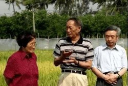 爱自由吃瓜基地,揭秘休闲美食新天地