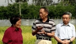 爱自由吃瓜基地,揭秘休闲美食新天地