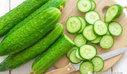 快乐吃瓜部落,揭秘网络红人的欢乐生活圈