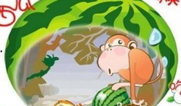 猴儿吃瓜教案,趣味盎然的幼儿启蒙教案体验