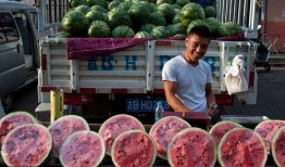 吃瓜群众吃面包,吃瓜群众与面包的甜蜜邂逅