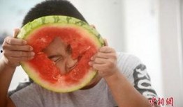 资料吃瓜,吃瓜群众眼中的明星幕后故事