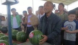 内黄南街吃瓜,夏日吃瓜盛宴，品味生活百态