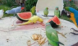 青玄吃瓜,揭秘娱乐圈背后的那些事儿