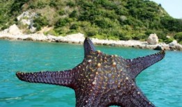 海角吃瓜爆料,揭秘娱乐圈最新爆料背后的真相