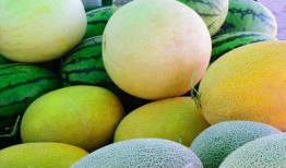 松滋吃瓜最好的地方,揭秘当地最佳吃瓜胜地