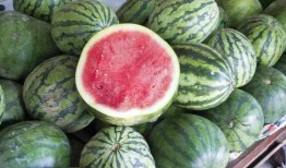 吃瓜放的歌,揭秘流行音乐背后的故事与情感