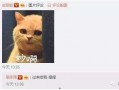 机智张吃瓜,揭秘娱乐圈那些不为人知的幕后故事