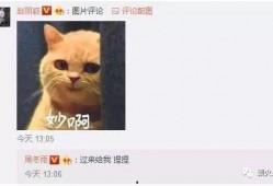 机智张吃瓜,揭秘娱乐圈那些不为人知的幕后故事