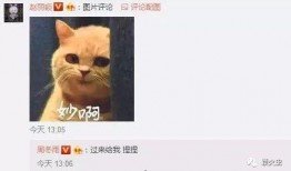 机智张吃瓜,揭秘娱乐圈那些不为人知的幕后故事