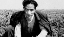 焦裕禄吃瓜的故事,吃瓜为民情，践行公仆初心