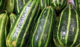 多人吃瓜,多人吃瓜，笑料横生