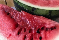 吃瓜网站爆料西瓜,揭秘吃瓜网站爆料的西瓜传奇