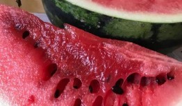 吃瓜网站爆料西瓜,揭秘吃瓜网站爆料的西瓜传奇