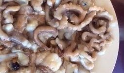 活章鱼吃瓜后续