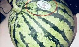 网红吃瓜千万,揭秘网络热点的背后真相