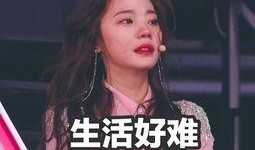 深夜吃瓜视频,揭秘娱乐圈幕后故事