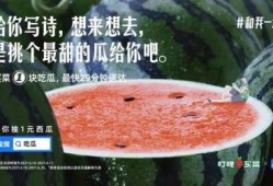 吃瓜喝汤文案短句,揭秘吃瓜喝汤的趣味生活