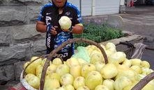 骑行吃瓜,品味生活点滴——骑行吃瓜记