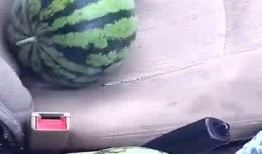 吃瓜摘瓜人的感悟,吃瓜摘瓜人的心灵感悟