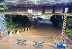 道明寺吃瓜,揭秘娱乐圈背后的秘密与真相