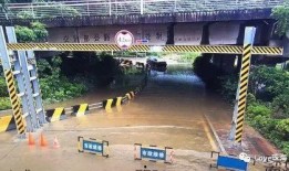 道明寺吃瓜,揭秘娱乐圈背后的秘密与真相