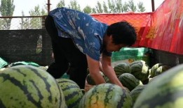 大步村吃瓜视频,揭秘乡村生活趣味瞬间