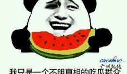 吃鸡 吃瓜是什么意思,揭秘网络流行语的演变与内涵