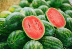 吃网文瓜有什么好,一网打尽，尽享阅读狂欢