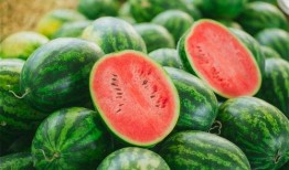 吃网文瓜有什么好,一网打尽，尽享阅读狂欢