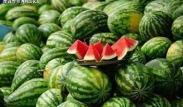 现在都用什么吃瓜,揭秘当下热门话题的传播与热议