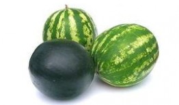 海兴最新吃瓜事件,最新吃瓜事件揭秘