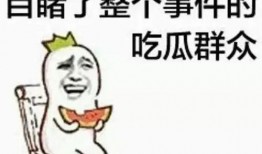 沙雕动画心声吃瓜,吃瓜群众的心路历程