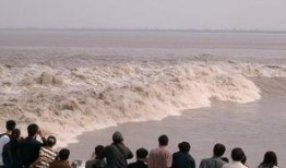 观潮吃瓜视频,揭秘网络短视频背后的娱乐现象