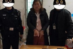 吃瓜被警察立案,警察立案调查吃瓜事件