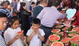 内黄南街吃瓜,夏日吃瓜盛宴，品味生活百态