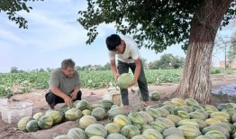 宿迁学院吃瓜后续,真相大白，各方反应汇总
