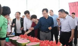 内黄南街吃瓜,夏日吃瓜盛宴，品味生活百态