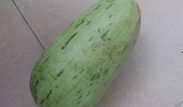 吃土瓜的图片,传统美食的视觉盛宴