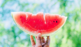 夏天吃瓜拍照,定格甜蜜时光