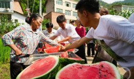 村民吃瓜看热闹情节,村民围观吃瓜，热闹非凡