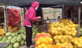 宁夏吃瓜爆料,揭秘当地美食背后的故事