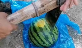 刀具吃瓜,探索刀具与美食的完美邂逅